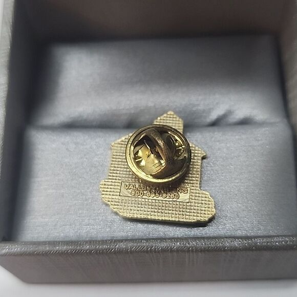 School Volunteer Pin - Picture 2 of 3